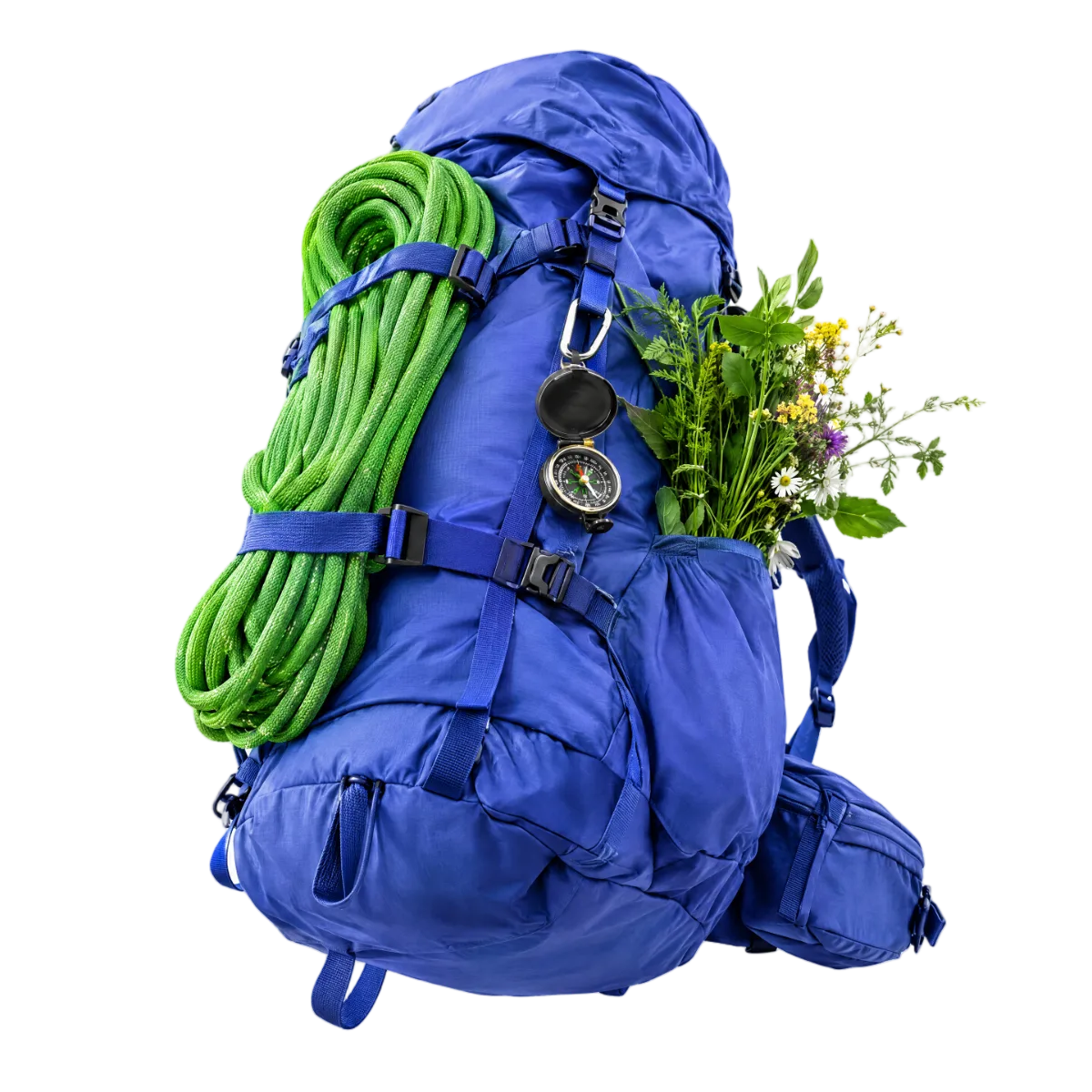 Indigo Wanderrucksack mit grünem Kletterseil, Kompass und frischen Wildkräutern