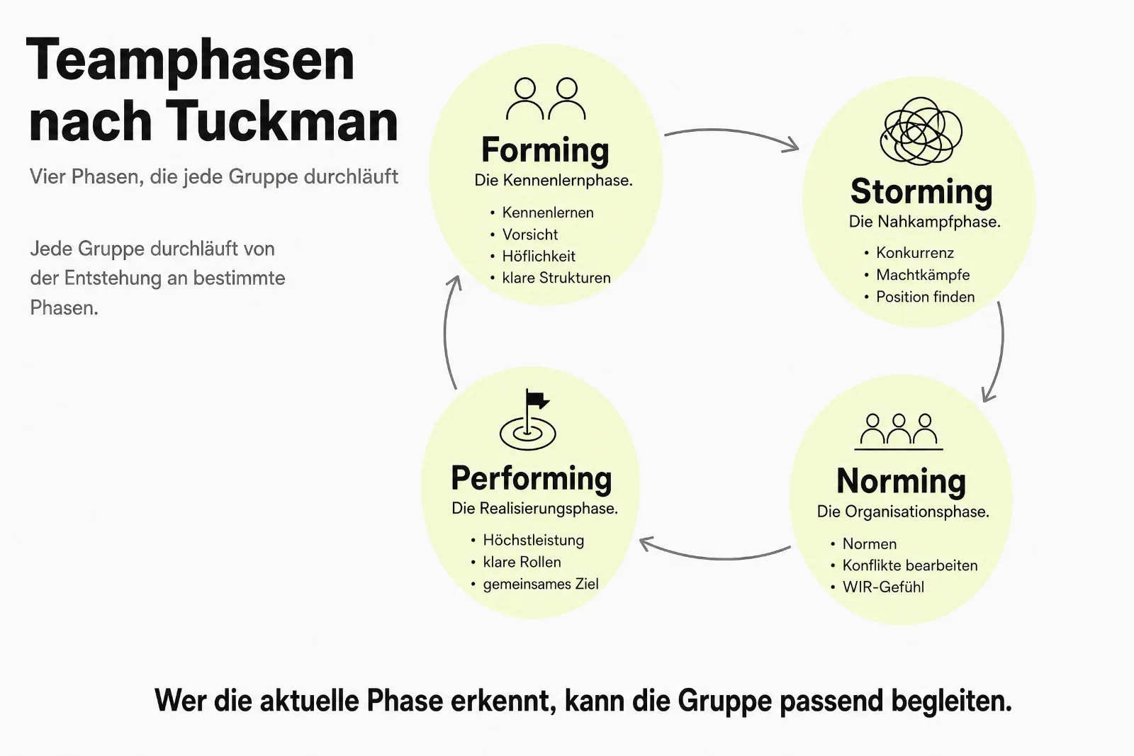 Infografik Teamphasen nach Tuckman: Kreislauf aus Forming (Kennenlernphase), Storming (Nahkampfphase), Norming (Organisationsphase) und Performing (Realisierungsphase).