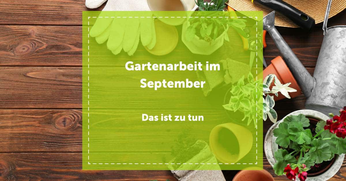 Gartenarbeit im September