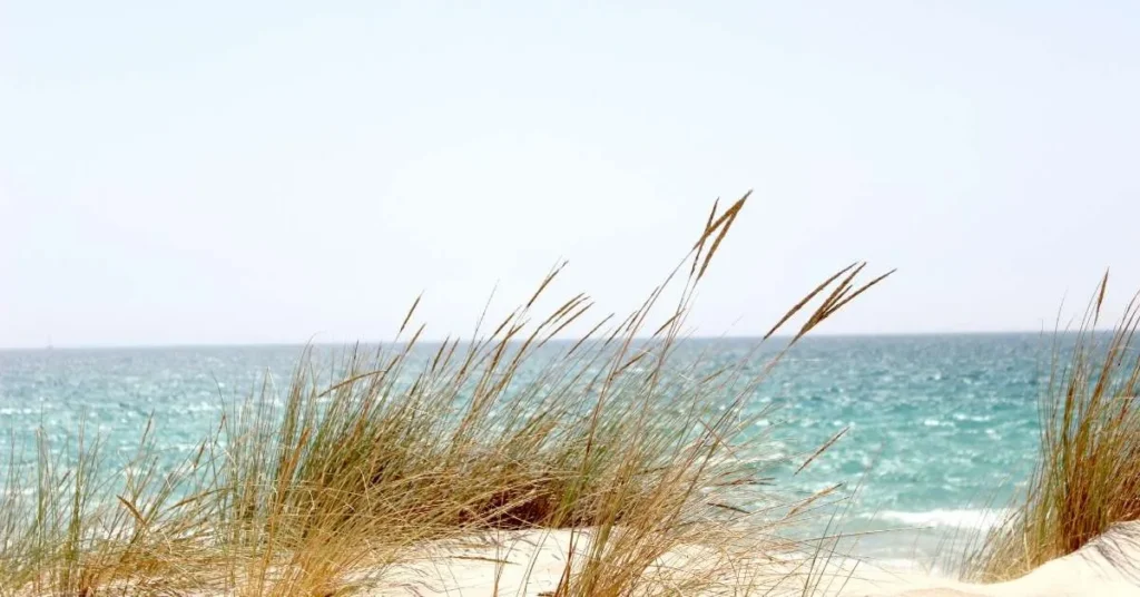 Strand und Meer